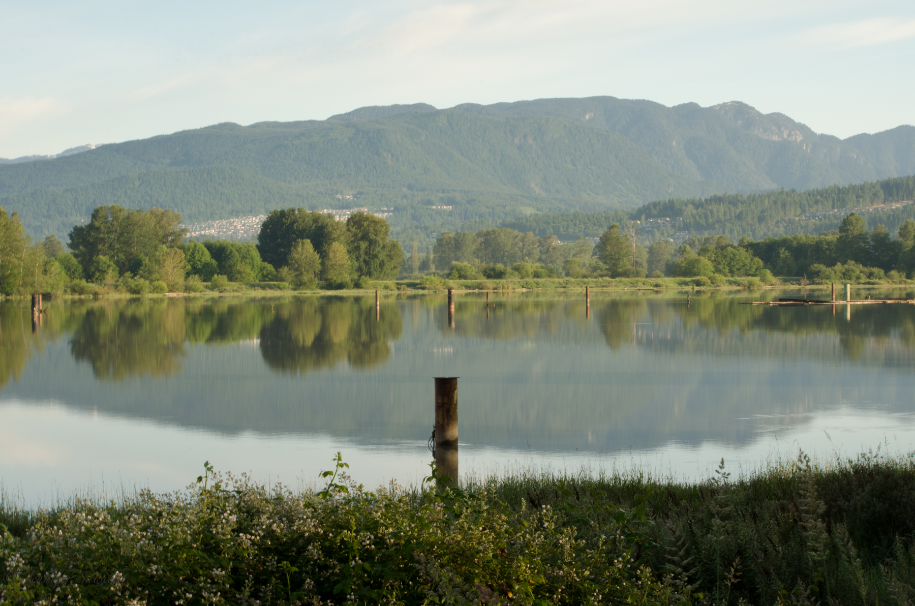 Coquitlam in the distance, June 2013 1/10, f22, ISO100, 55mm